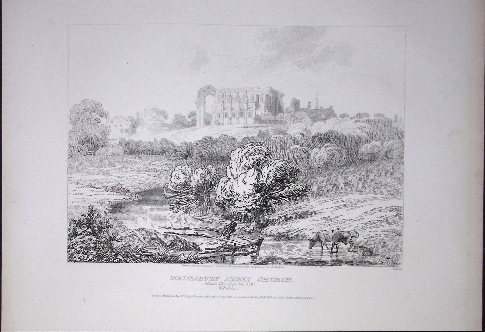 Malmsbury Church-Wiltshire 190 Years-Old Rare John Britton Antique Steel Engraving-50: Title: Malmsbury Church-Wiltshire 190 Years-Old Rare John Britton Antique Steel Engraving-50 Description: This 191 Years-Old Steel Engraved Plate Has Been Removed from an Antique Edition of. J