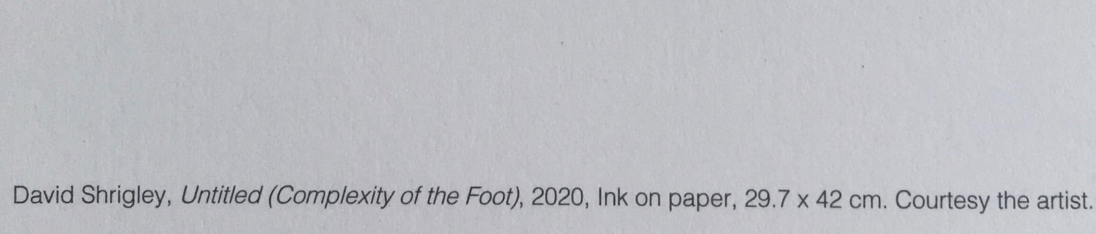 David Shrigley OBE (b 1968)‘Complexity of The Foot’ Offset Lithograph, Ltd Edition of 35 - 10