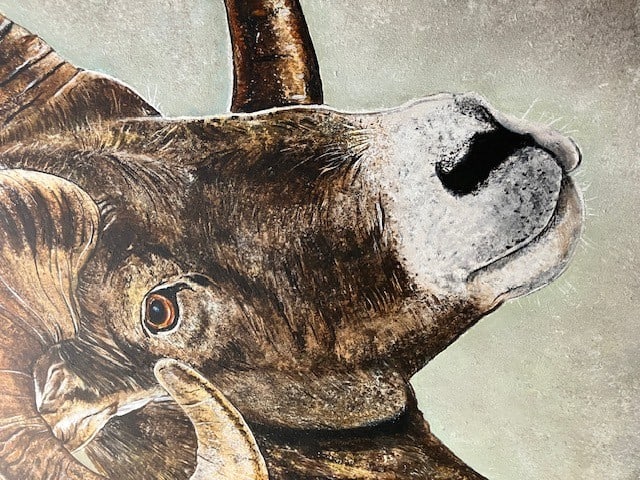 2 Ram Oil Paintings On Canvas. Artist Is Miranda Assink - 11