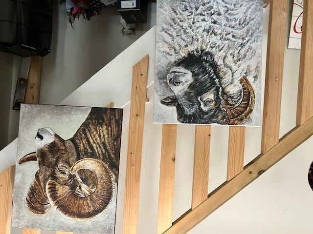 2 Ram Oil Paintings On Canvas. Artist Is Miranda Assink (1 of 7)