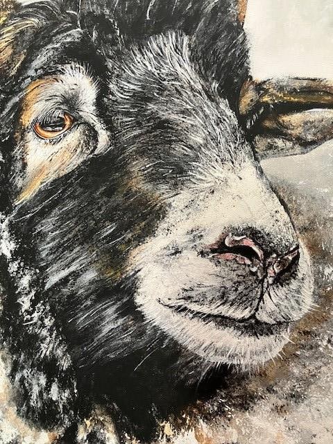 2 Ram Oil Paintings On Canvas. Artist Is Miranda Assink - 5