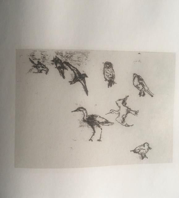 Tracey Emin (b1963) ‘One Thousand Drawings’ Signed In Plate, Editioned, Rizzoli, New Yor - 12