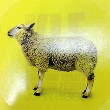 KLF (b 1988-1992) The KLF: Chaos, Magic and The Band Who Burned A Million Pounds, 1st Edition, 20... - 6