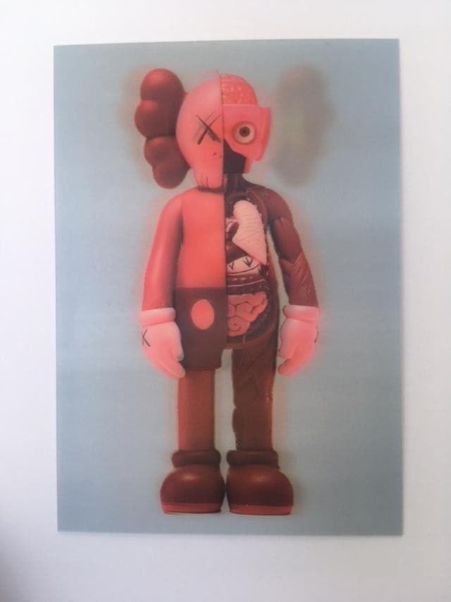 Kaws (b.1974) Import, 3D Lenticular Image Flayed Companion In Blush, Exhibition At NGV, Framed, 2... - 10