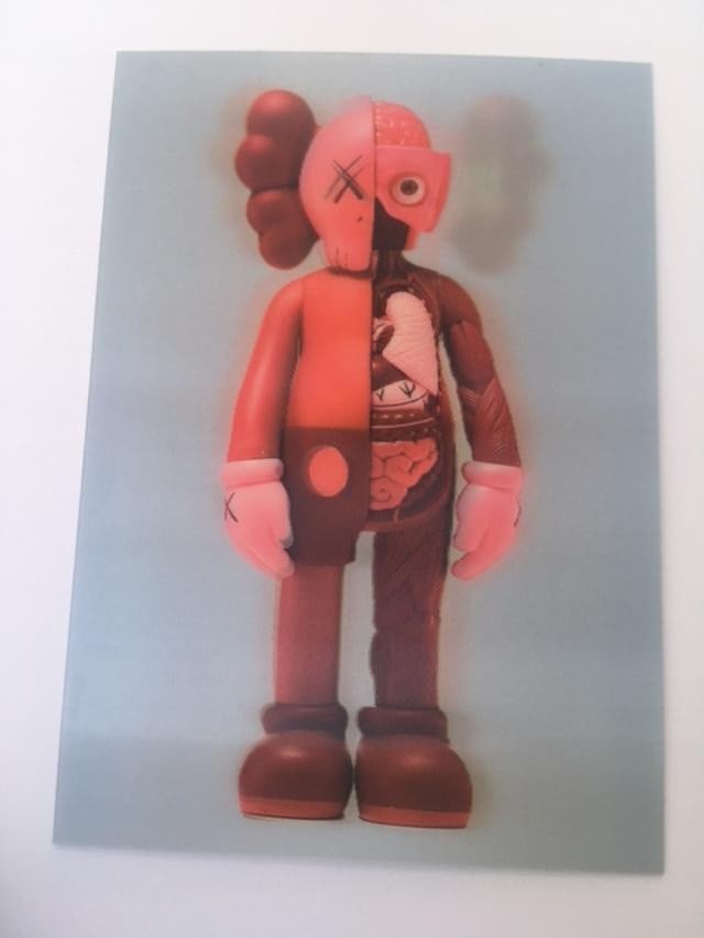 Kaws (b.1974) Import, 3D Lenticular Image Flayed Companion In Blush, Exhibition At NGV, Framed, 2... - 12