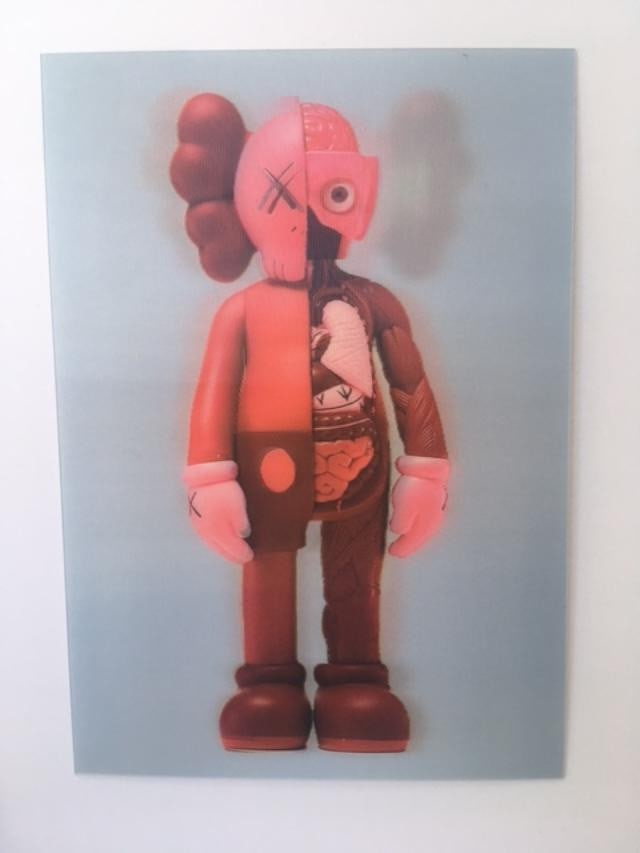 Kaws (b.1974) Import, 3D Lenticular Image Flayed Companion In Blush, Exhibition At NGV, Framed, 2... - 15