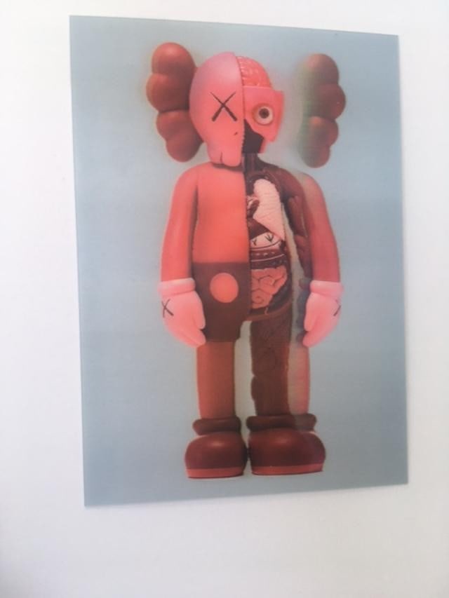 Kaws (b.1974) Import, 3D Lenticular Image Flayed Companion In Blush, Exhibition At NGV, Framed, 2... - 16
