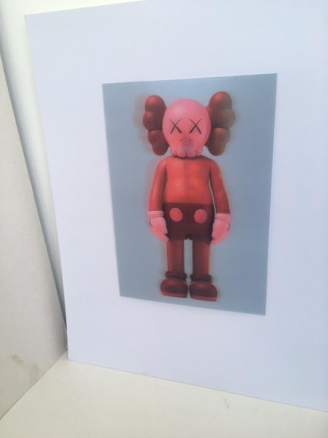 Kaws (b.1974) Import, 3D Lenticular Image Flayed Companion In Blush, Exhibition At NGV, Framed, 2... - 19