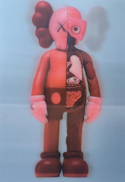 Kaws (b.1974) Import, 3D Lenticular Image Flayed Companion In Blush, Exhibition At NGV, Framed, 2... - 7