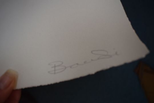 Bambi (B1979) ‘Exotica’ Screen Print, Signed, Editioned, 2012 Hand Finished In Pink Glit - 13