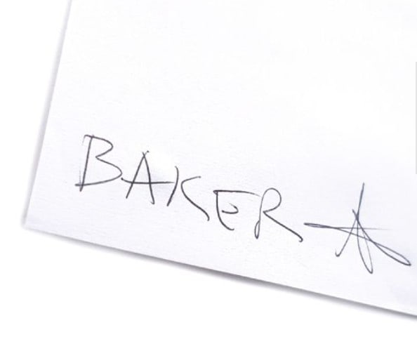 Charming Baker, Christmasaurus Rex - 2