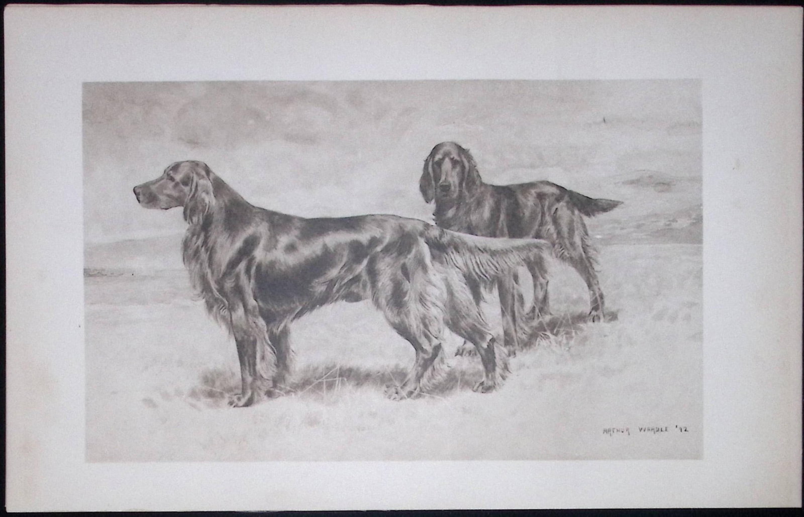 Pair of Irish Setters Antique Book Plate Rawdon Lee Modern Dogs 1906-58: Title: Pair of Irish Setters Antique Book Plate Rawdon Lee Modern Dogs 1906-58 Description: This Antique Book Plate Was Removed from an Edition of Modern Dogs by Rawdon Lee 1893. Each Print Measures