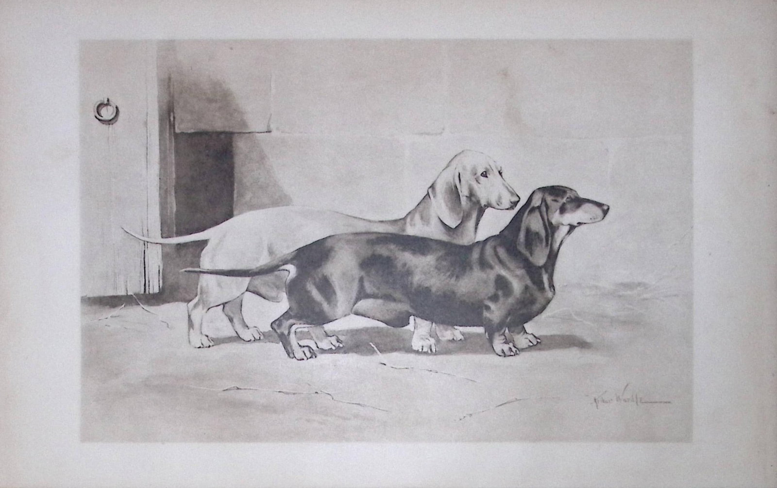 Pair Dachshunds Antique Book Plate Rawdon Lee Modern Dogs 1906-66: Title: Pair Dachshunds Antique Book Plate Rawdon Lee Modern Dogs 1906-66 Description: This Antique Book Plate Was Removed from an Edition of Modern Dogs by Rawdon Lee 1893. Each Print Measures