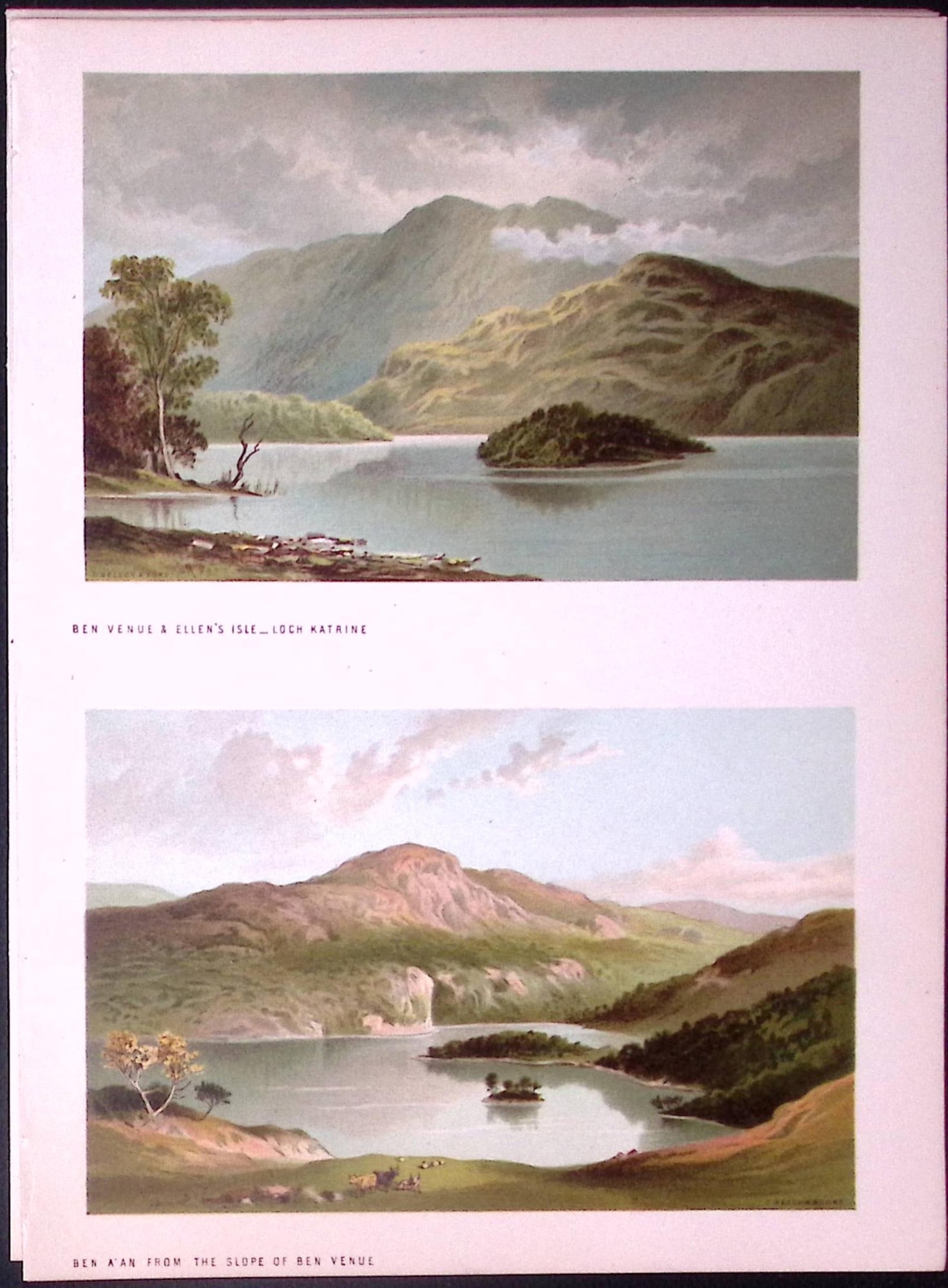 Scotland Ben Venue & Ellen’s Isle Loch Katrine Antique Coloured Print-35: Title: Scotland Ben Venue & Ellen’s Isle Loch Katrine Antique Coloured Print-35 Description: This Antique Illustration Has Been Removed from a First Edition of. Souvenir Of Scot