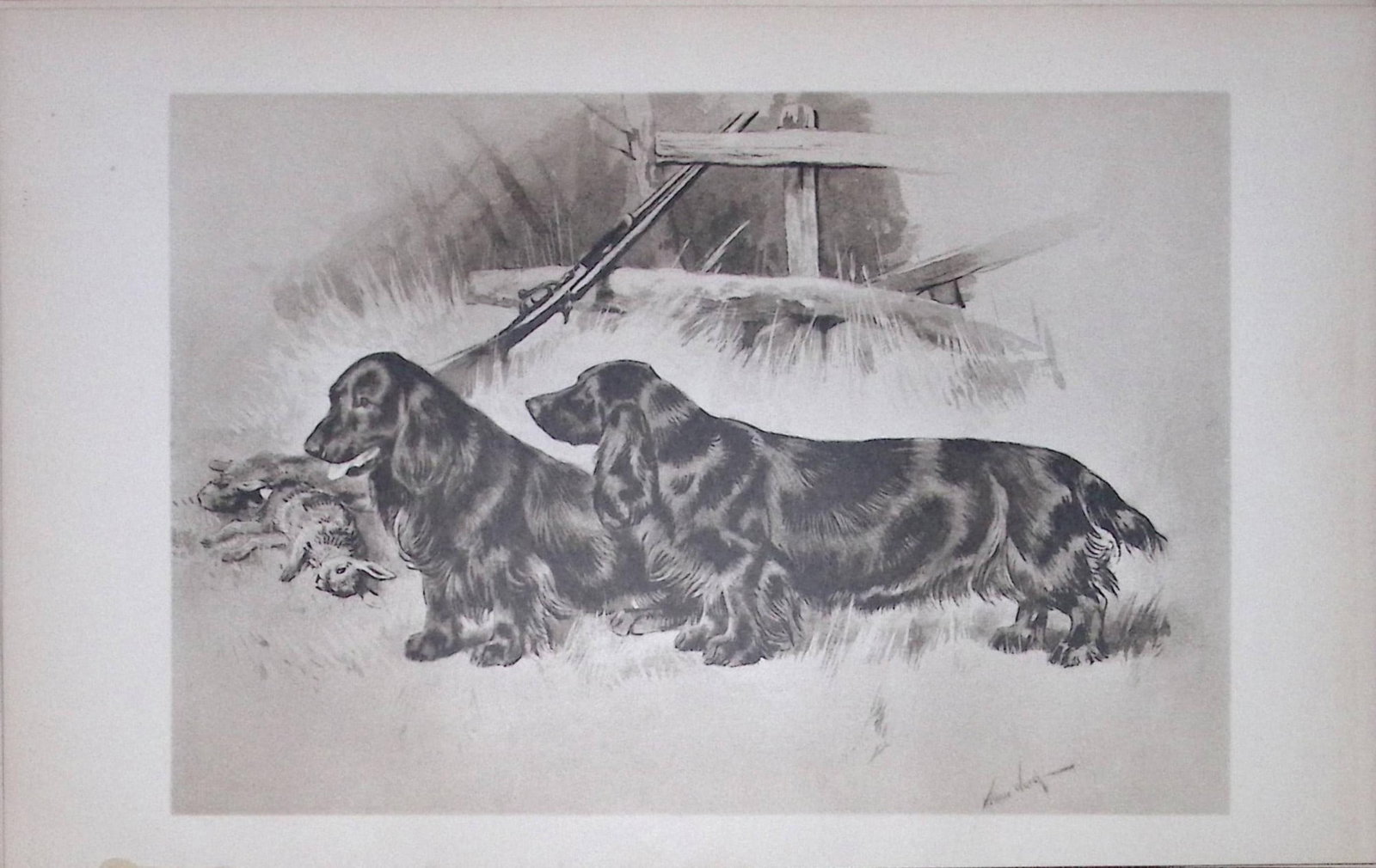 Pair Black Field Spaniels Antique Book Plate Rawdon Lee Modern Dogs 1906-64: Title: Pair Black Field Spaniels Antique Book Plate Rawdon Lee Modern Dogs 1906-64 Description: This Antique Book Plate Was Removed from an Edition of Modern Dogs by Rawdon Lee 1893. Each Print