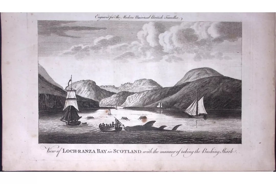 Isle of Arran Scotland Rare Large 247-Year-Old Antique Copperplate Engraving-4-TR: Title: Isle of Arran Scotland Rare Large 247-Year-Old Antique Copperplate Engraving-4-TR Description: This Antique 247-Year-Old Was Removed from an Edition Of. The Modern Universal