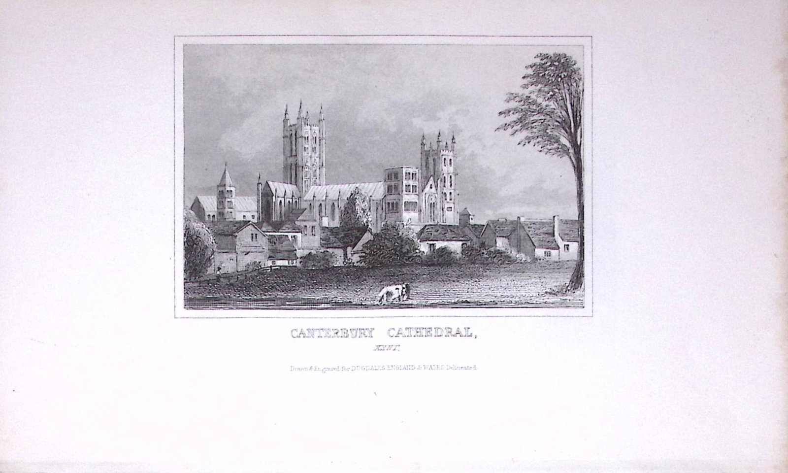 Canterbury Cathedral Dugdale & Archer Antique 180 Years-Old Copper Plate Print-14 (1 of 1)