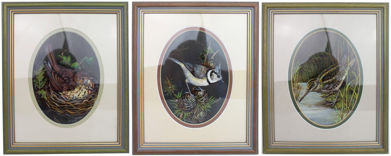 Set of 3 British Bird Paintings by Liz Garnett-Orme: Title: Set of 3 British Bird Paintings by Liz Garnett-Orme Description: Set of 3 British Bird Paintings by Liz Garnett-Orme, 1993–1996 United Kingdom, Late 20th Century Gouache and ink on board