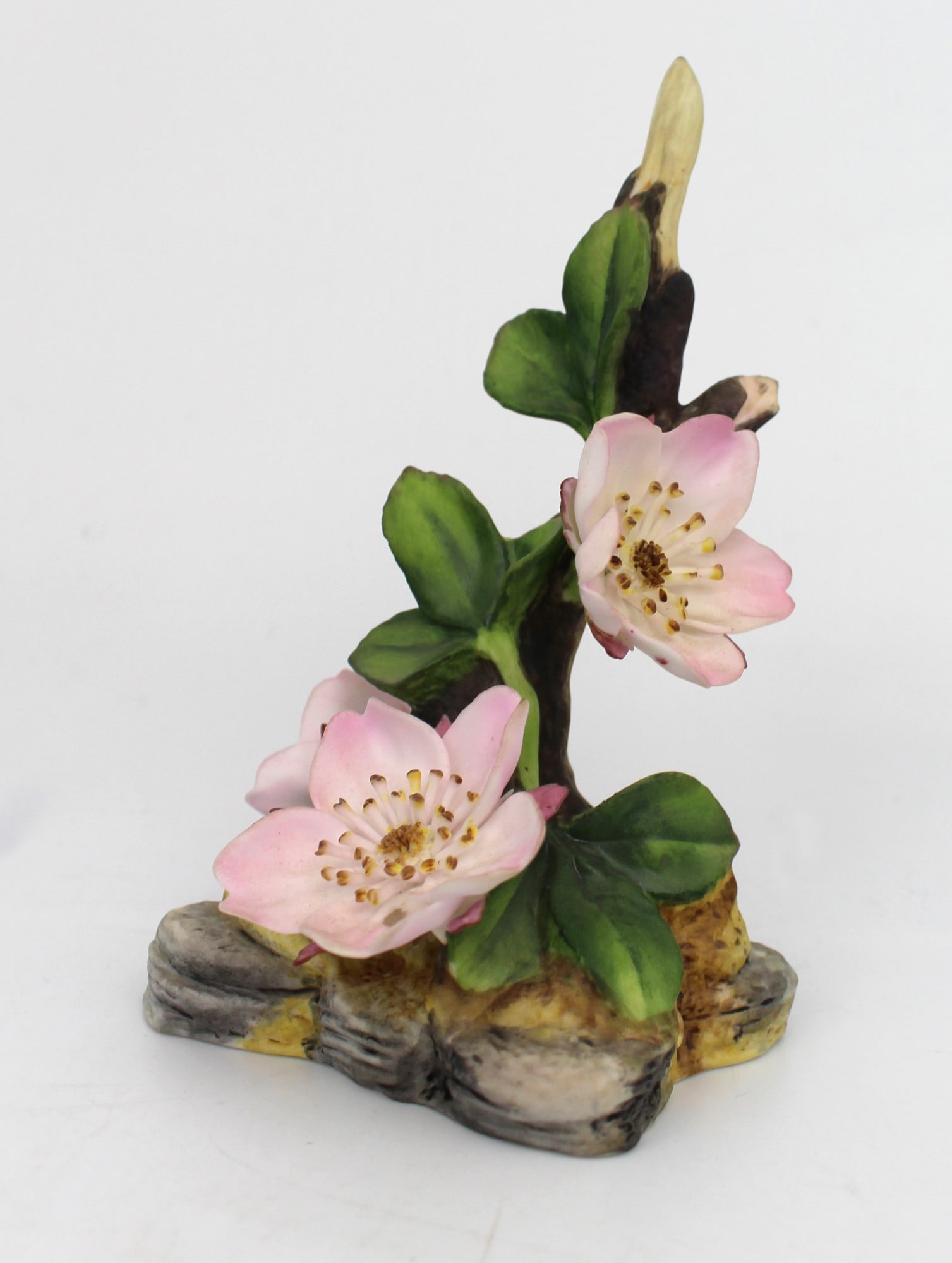 Royal Worcester Wild Rose Garden Flowers (1 of 3)