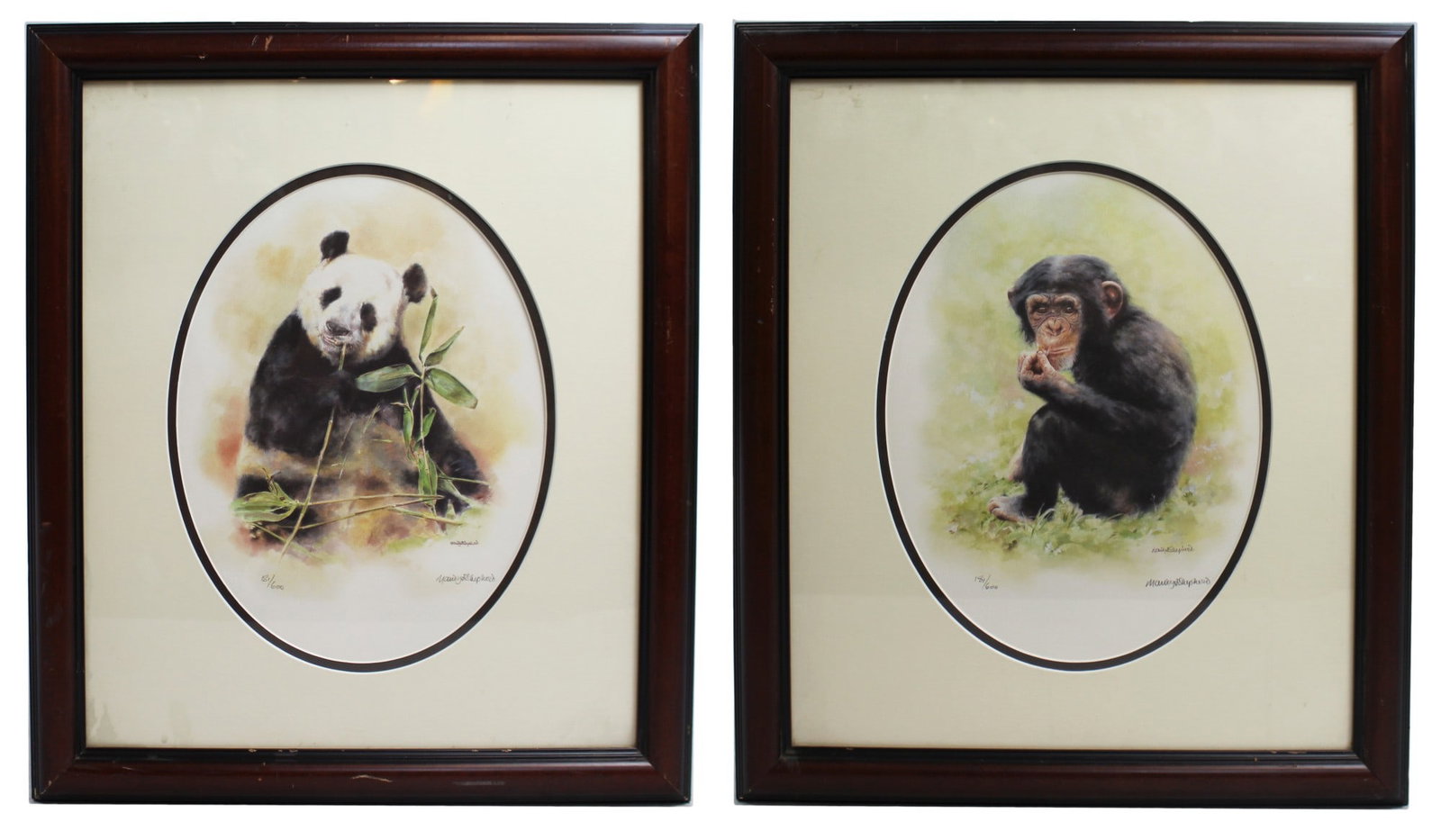 Pair of May Shepherd Animal Prints: Title: Pair of May Shepherd Animal Prints Description: Pair of May Shepherd Animal Prints Pair of limited edition prints by Mandy Shepherd. Signed by the artist. Limited editions of 600. Double oval