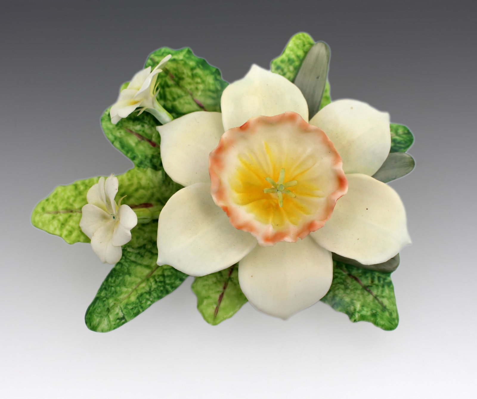 Royal Worcester Flower Narcissus: Title: Royal Worcester Flower Narcissus Description: Royal Worcester Flower Narcissus Fine and delicate vintage Royal Worcester porcelain flower study. Black factory backstamp. Measures 12.5 x 10 x 6