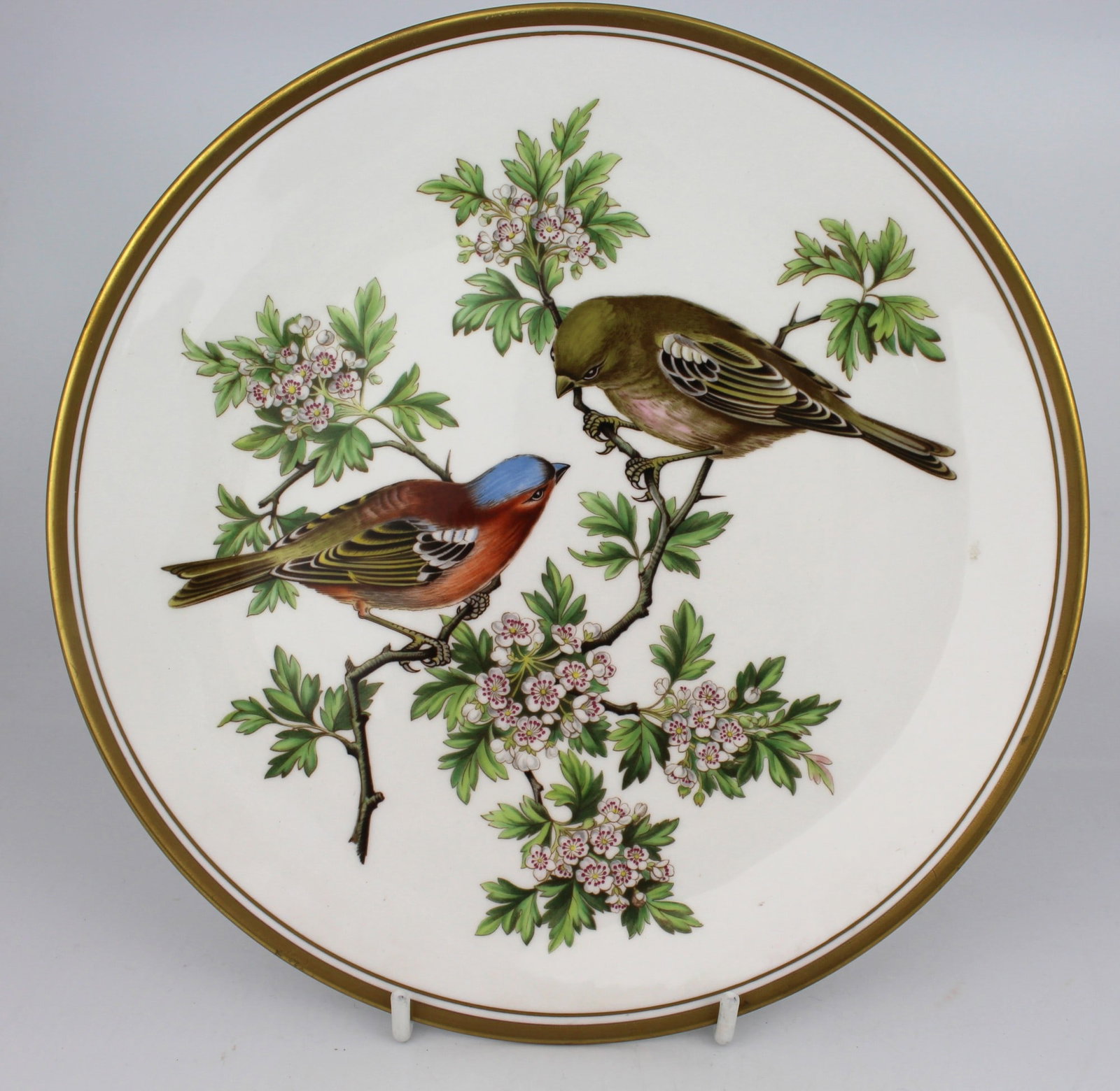 Set of 4 Spode Bird Plates - 5