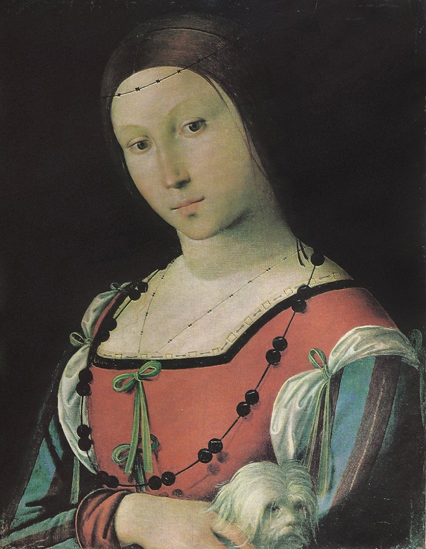 A Lady with a Lap-Dog, Portrait of a Man: Set of two lithographic prints comprising:lithographic print of painting by Lorenzo Costa entitled A Lady with a Lap-Dog, originally painted c.1500-1505Probably purchased by Charles II (1630-85), reco