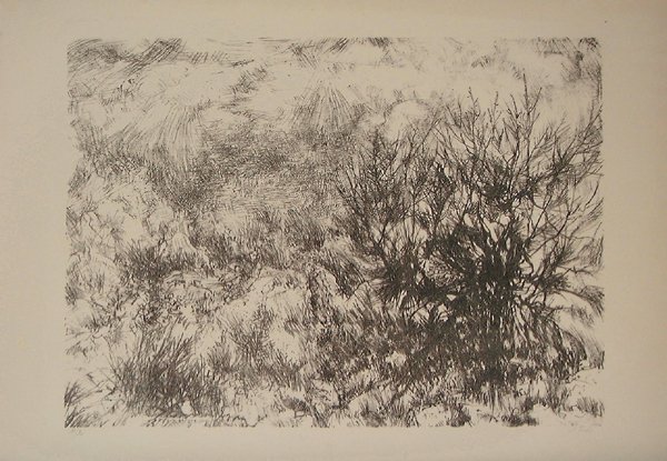 Anna Ticho Original Signed No. Lithograph