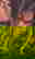 item-789307=4