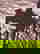 item-1219504=5