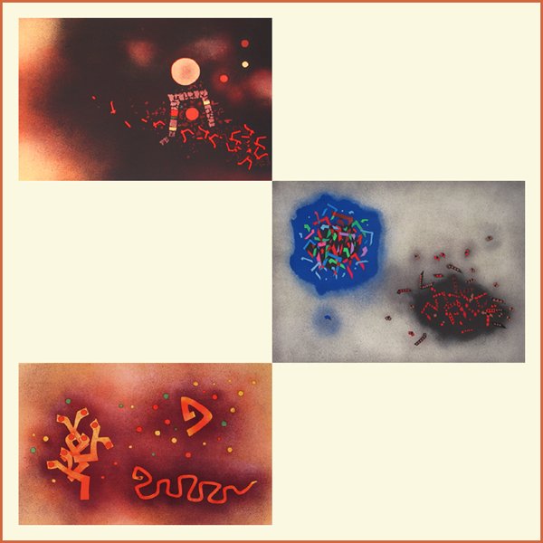 M. Ardon Signed No. RARE "Creation" Portfolio - 4