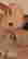item-16260302=2