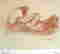 item-16260314=2