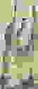 item-1745263=3