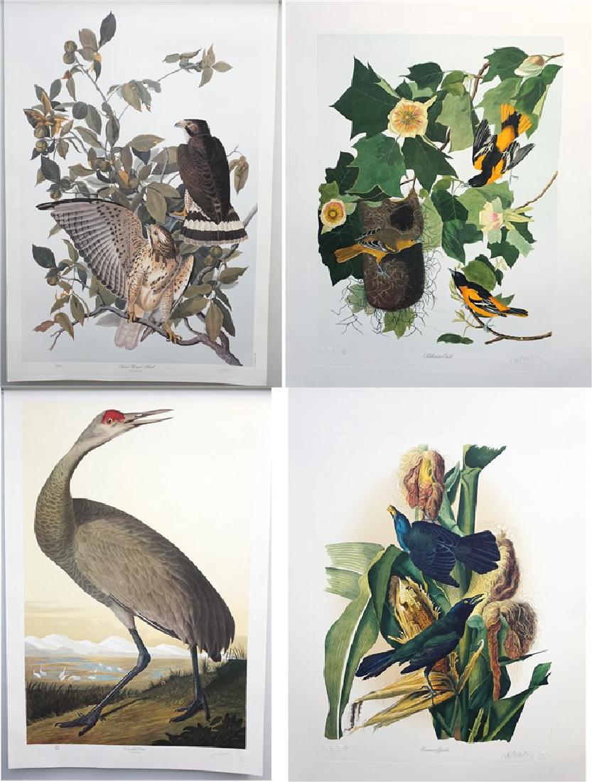 12 ELEPHANT FOLIO AUDUBON BERNARD M. LOATES (1 of 5)
