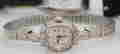 item-53019884=2