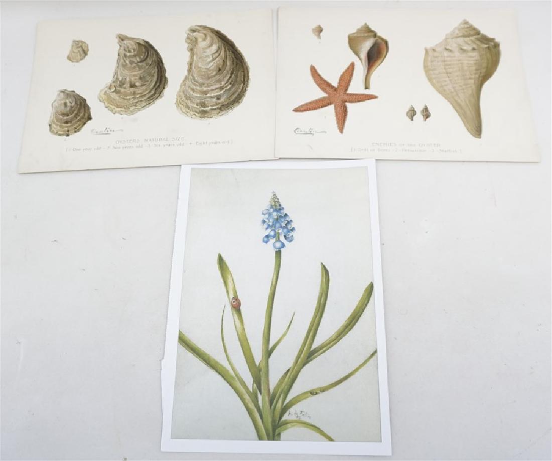 3 pc ENEMIES OF THE OYSTER - OYSTERS - FLOWER (1 of 9)