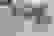 item-57760528=2