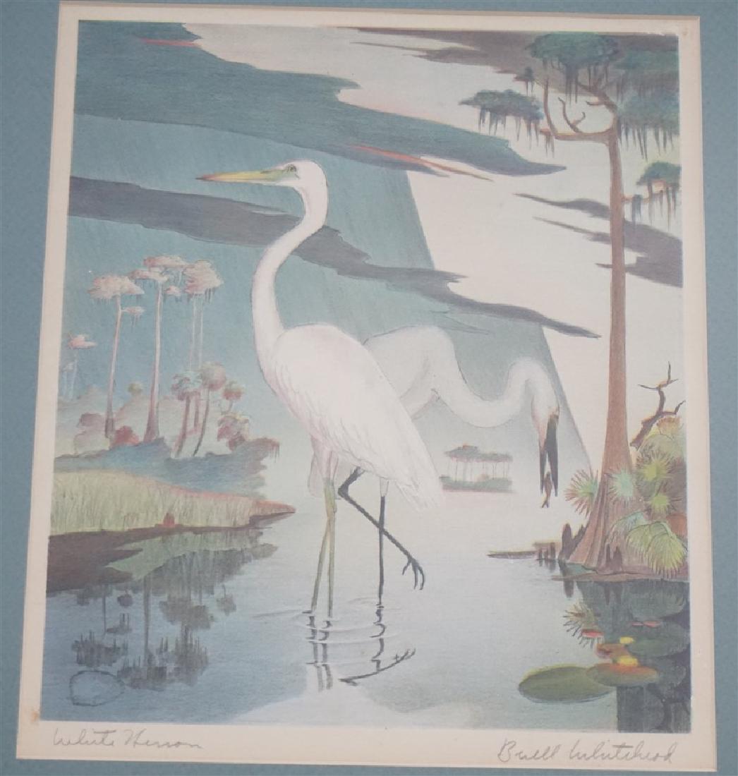 BUELL WHITEHEAD WHITE HERON LITHOGRAPH (1 of 7)