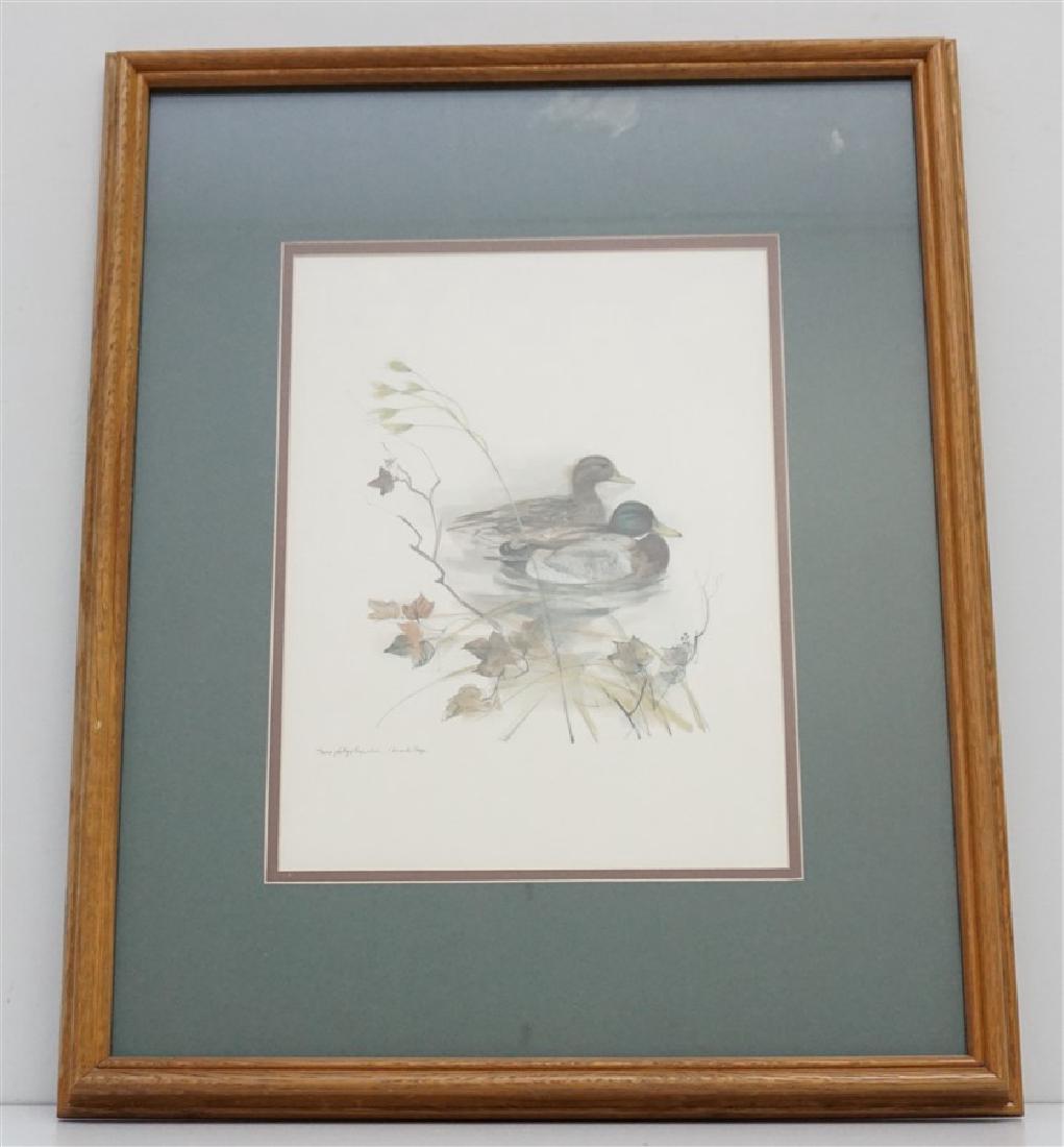 MADS STAGE MALLARD DUCKS (1 of 6)