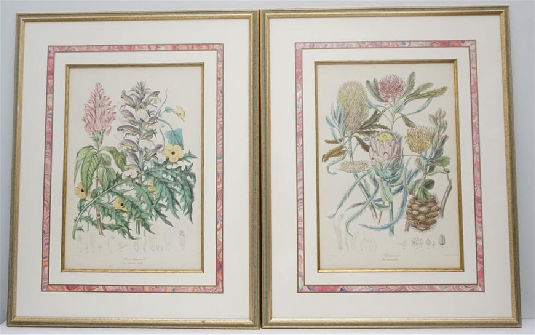 2 1849 ELIZABETH TWINING HAND COLORED LITHOS (1 of 11)