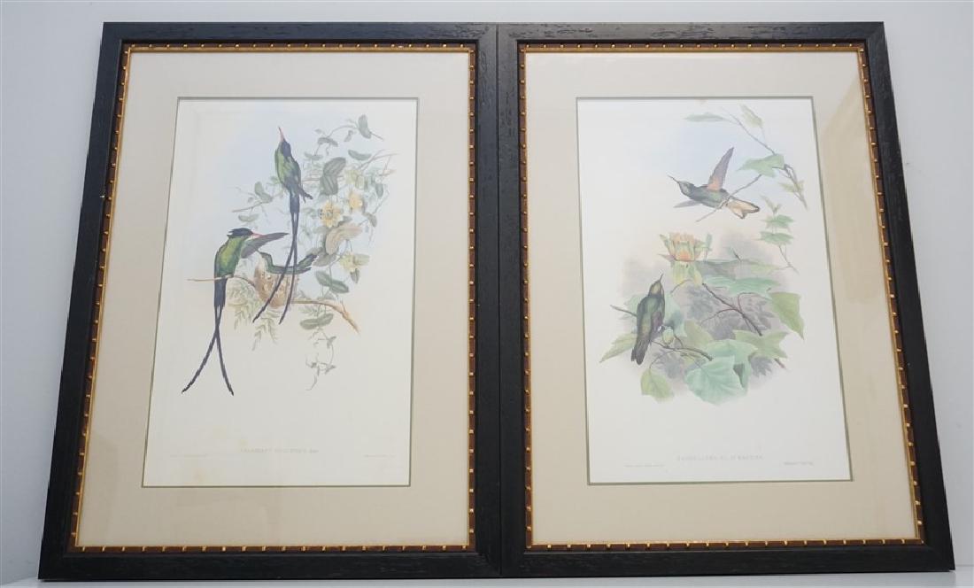 2 FRAMED GOULD HUMMINGBIRD PRINTS (1 of 8)