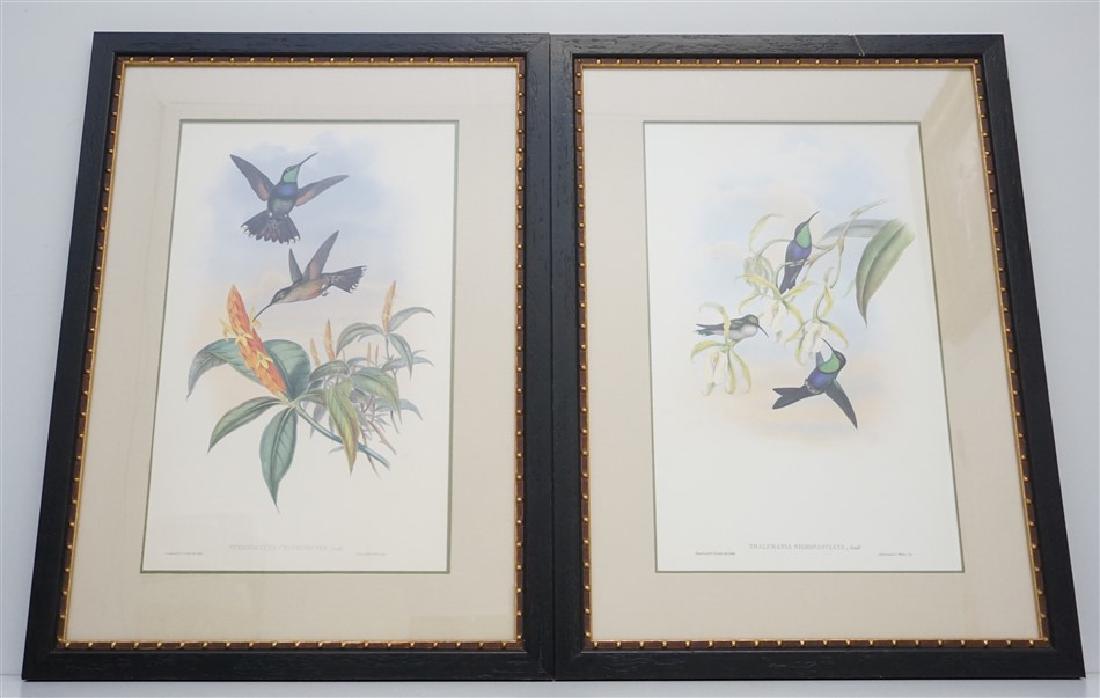 2 FRAMED GOULD HUMMINGBIRD PRINTS (1 of 8)
