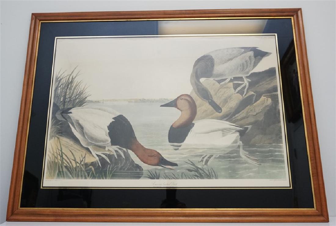 ROBERT HAVELL AFTER AUDUBON (1 of 11)