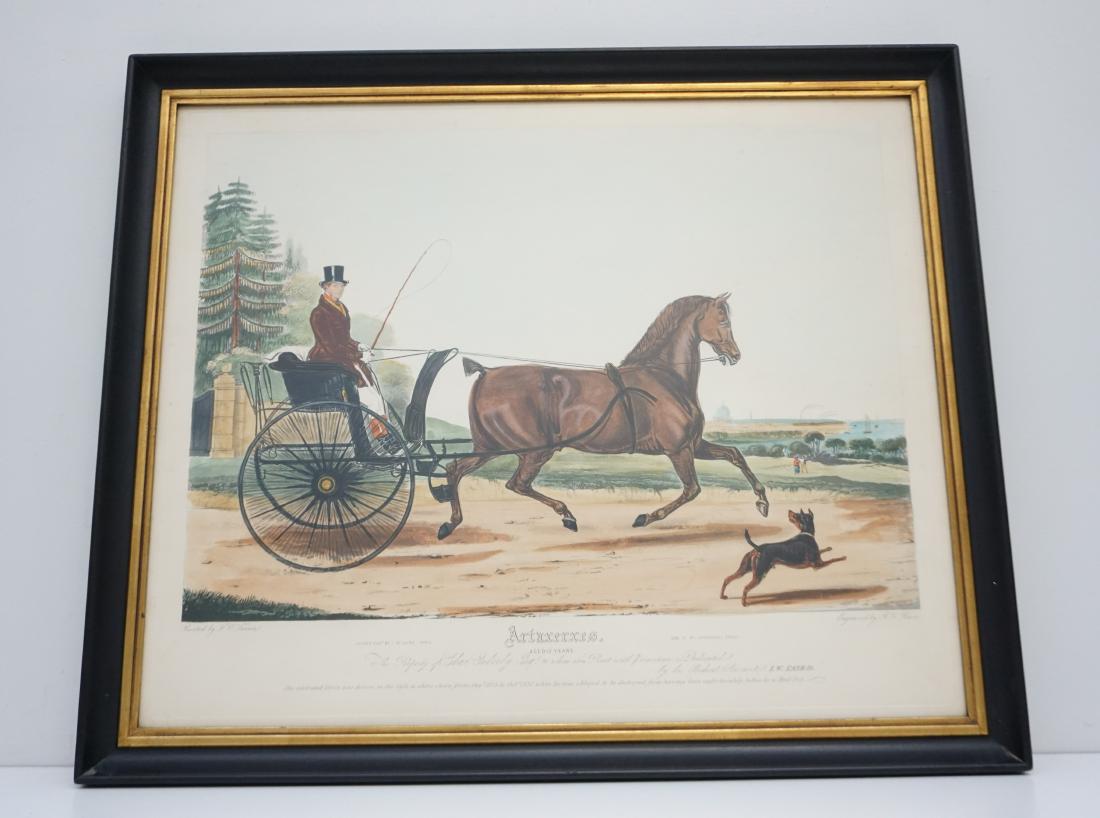 TURNER 19th c.  EQUESTRIAN ENGRAVING (1 of 6)