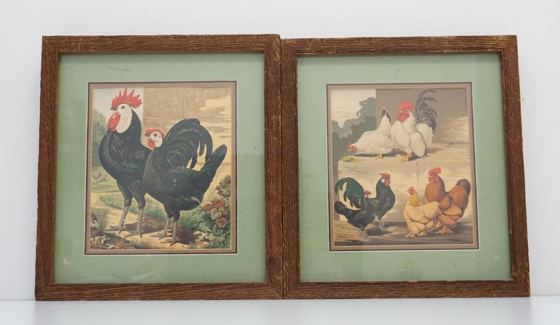 2 VINTAGE POULTRY PRINTS (1 of 6)