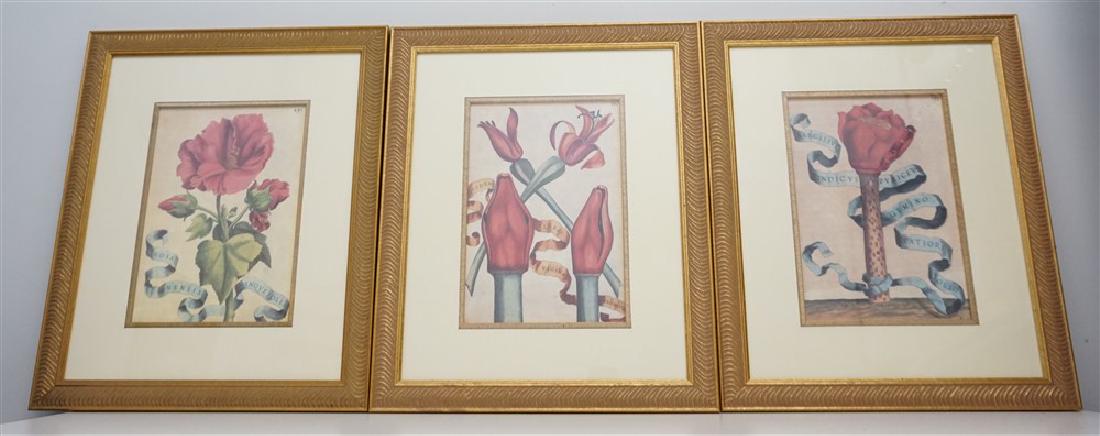 3 HAND COLORED BOTANICAL FERRARI ENGRAVINGS (1 of 7)