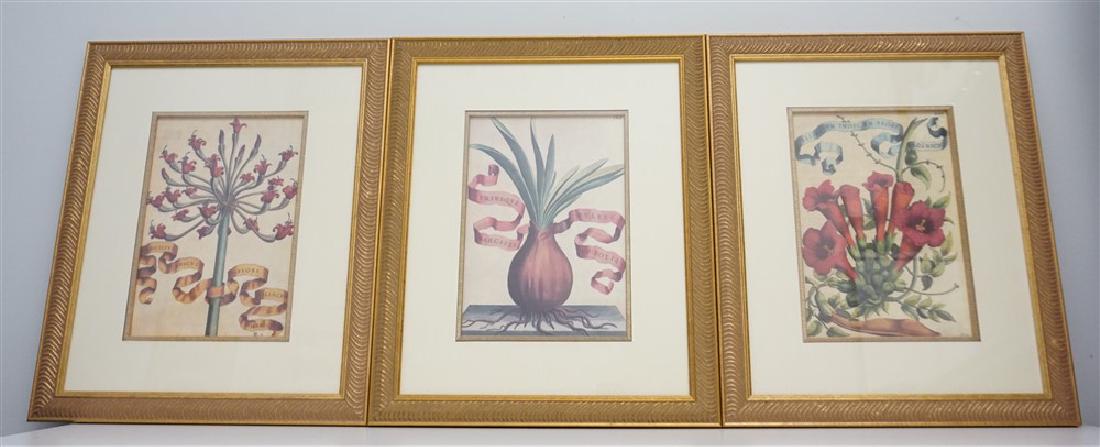3 HAND COLORED BOTANICAL FERRARI ENGRAVINGS (1 of 7)