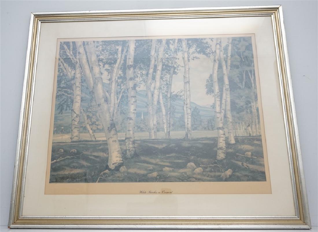 LARGE LUIGI LUCIONI WHITE BIRCHES (1 of 7)