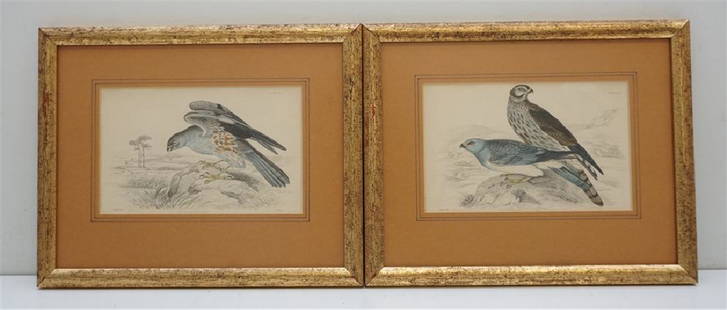 2 LIZARS HAND COLORED ENGRAVINGS: Original Antique Hand-Colored Bird Engravings by William Home Lizars. Mid 19th c., small folio. Plate 22 and Plate 23. Professionally framed and matted in Gilt Wood Frame under glass. In frame, each m